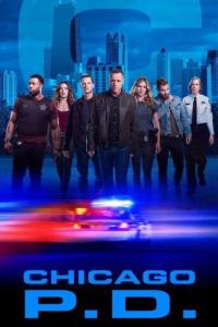 Полиция Чикаго / Chicago P.D. 10 сезон Полиция Чикаго / Chicago P.D. 10 сезон