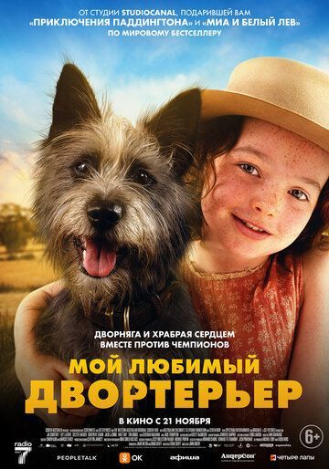 Мой любимый двортерьер 2024 Мой любимый двортерьер 2024